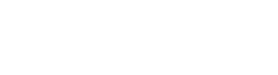 Vis Digital